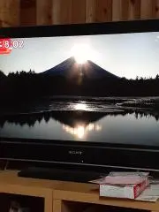 ジュンにゃんの画像