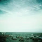 たこわさび