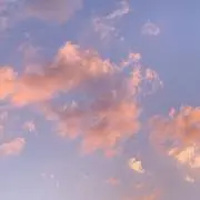 hyoの画像