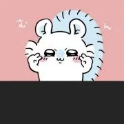 VGの画像