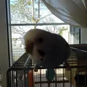 育子の画像