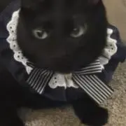 nananの画像