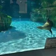 KK3の画像