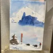 キコの画像