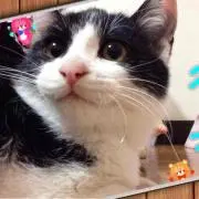 のん☆のんの画像