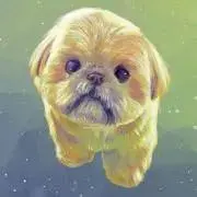 ういうい