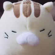 にゃんた⭐︎