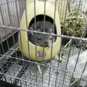 あんちゃんプロフ絶必見‼️の画像