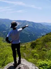 turryの画像