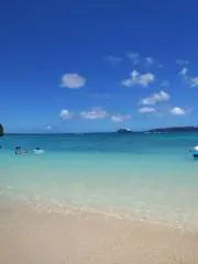 Rayの画像