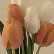 miii☺︎の画像