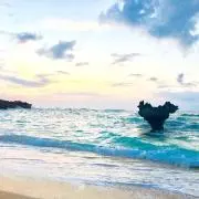 Rayの画像