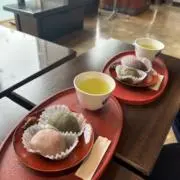みーの画像