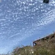 みーの画像