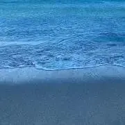 TL