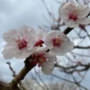 のん※プロフ必読※