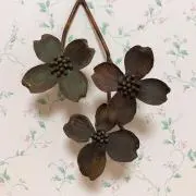 tontonの画像