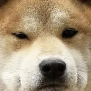 Kの画像