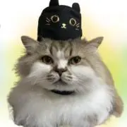 Mochi