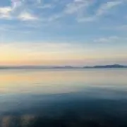yuuuuuの画像