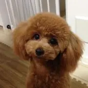 なるなるの画像