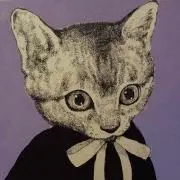 ちゃくらの画像