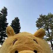 meの画像