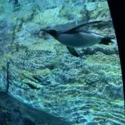 きゅん♡24時間以内発送♡まとめ割引有♡