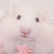 るんの画像