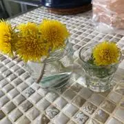 ショコラ