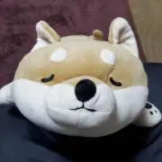 くみちゃんの画像