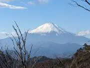 quepasoの画像