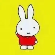にゃんこの画像