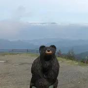 ソラ