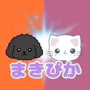 まきぴかの画像