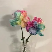 momoの画像