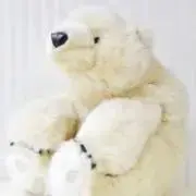 ルッコラ　※プロフ確認お願いしますの画像