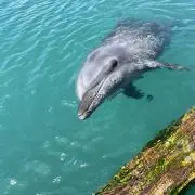 みー　即購入大歓迎⭐︎★の画像