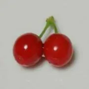 さくらんぼ☆の画像