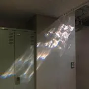 芹