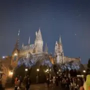 さめの画像
