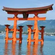 のりの画像