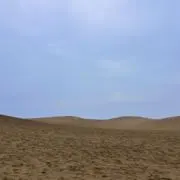 dio［即購入 まとめ売りOK］の画像