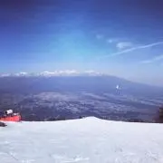 ぱとりっくの画像