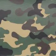 Xenoの画像