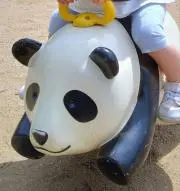 hanaoiの画像
