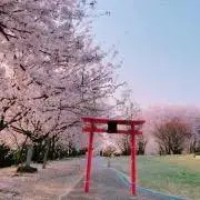 あきの画像