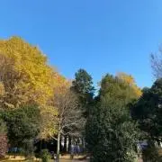 Kei☆の画像