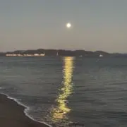 ゆみの画像