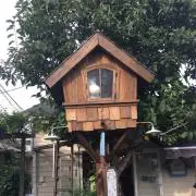 おかぴーの画像